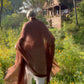 Earth Brown Handwoven Cashmere Wrap